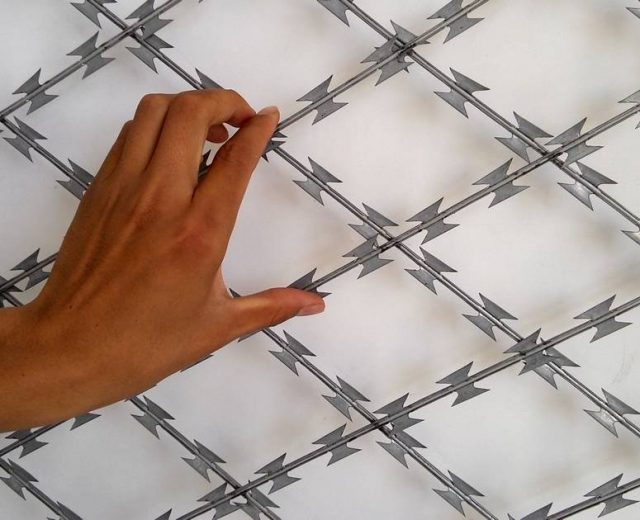 Concertina barbed wire